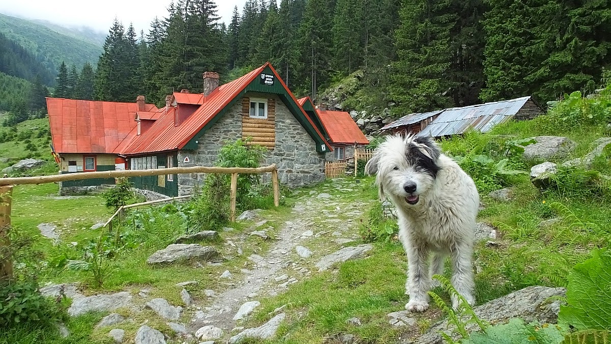 Wanderung im Făgăraș-Gebirge