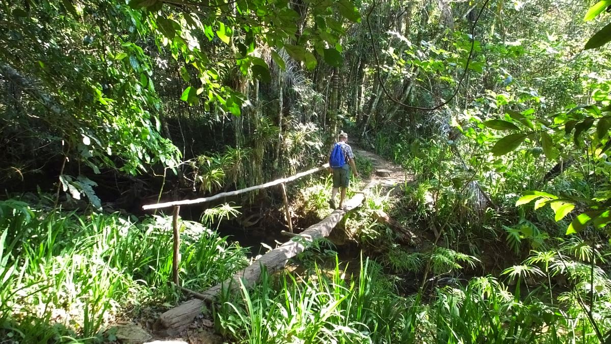 Dschungel- und Höhlenwanderung